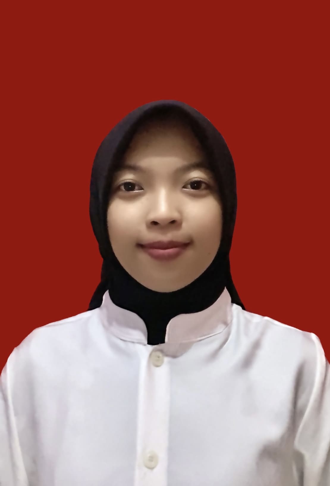 Aulia Aulia